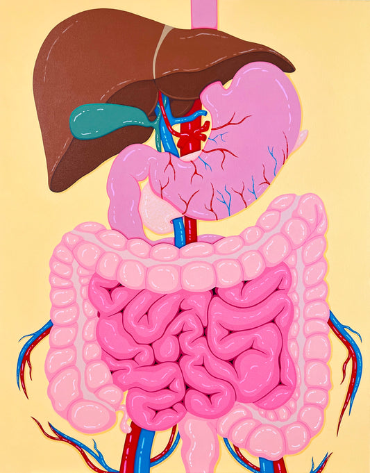 “Digestion" Print