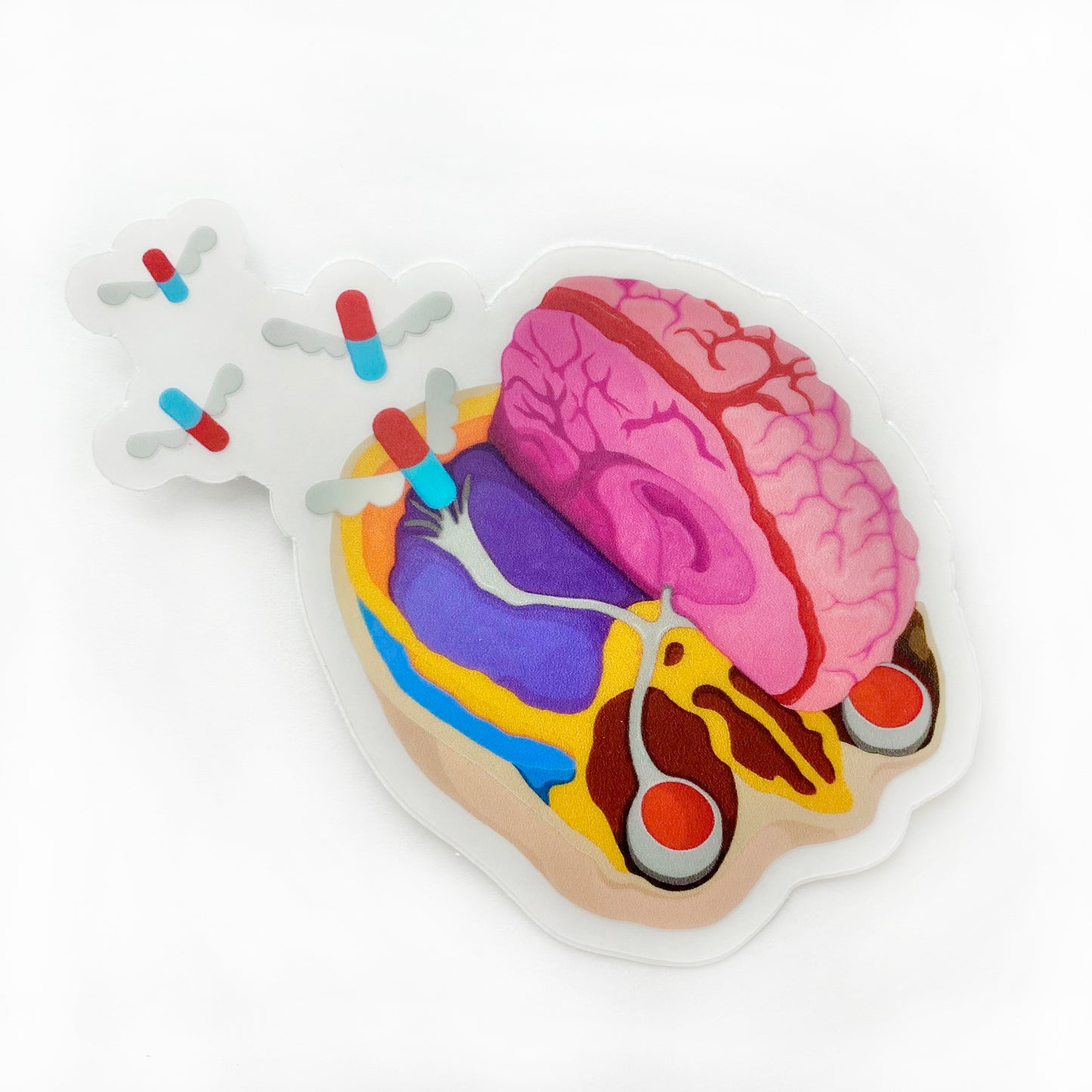 Anatomical Sticker 4-Pack