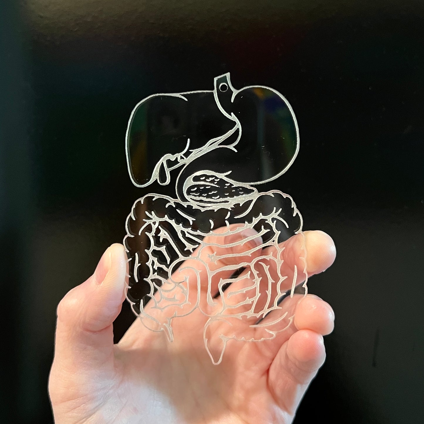 Discounted Clear Acrylic Digestive System Ornament