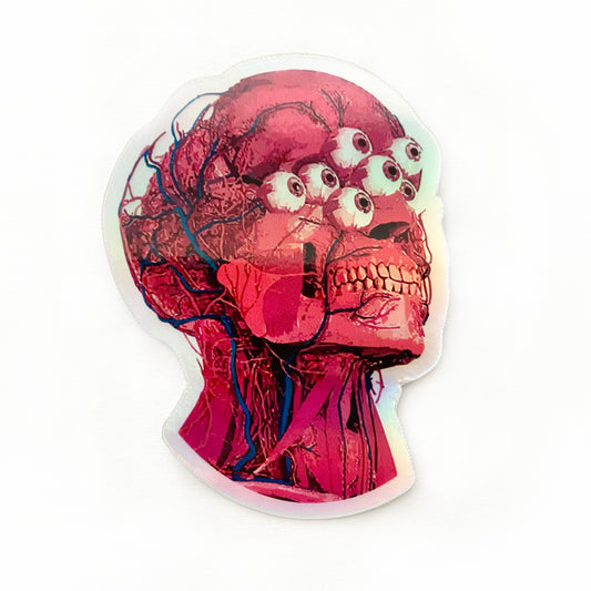 Holographic "De-Fleshed" Anatomical Head Sticker