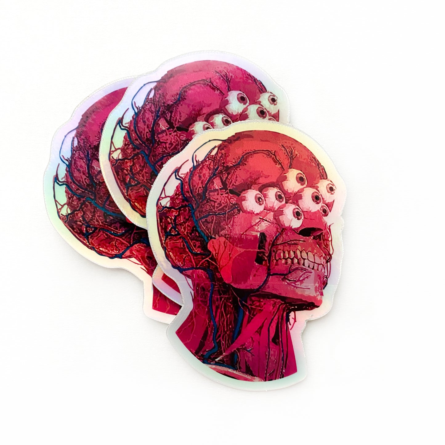 Holographic "De-Fleshed" Anatomical Head Sticker