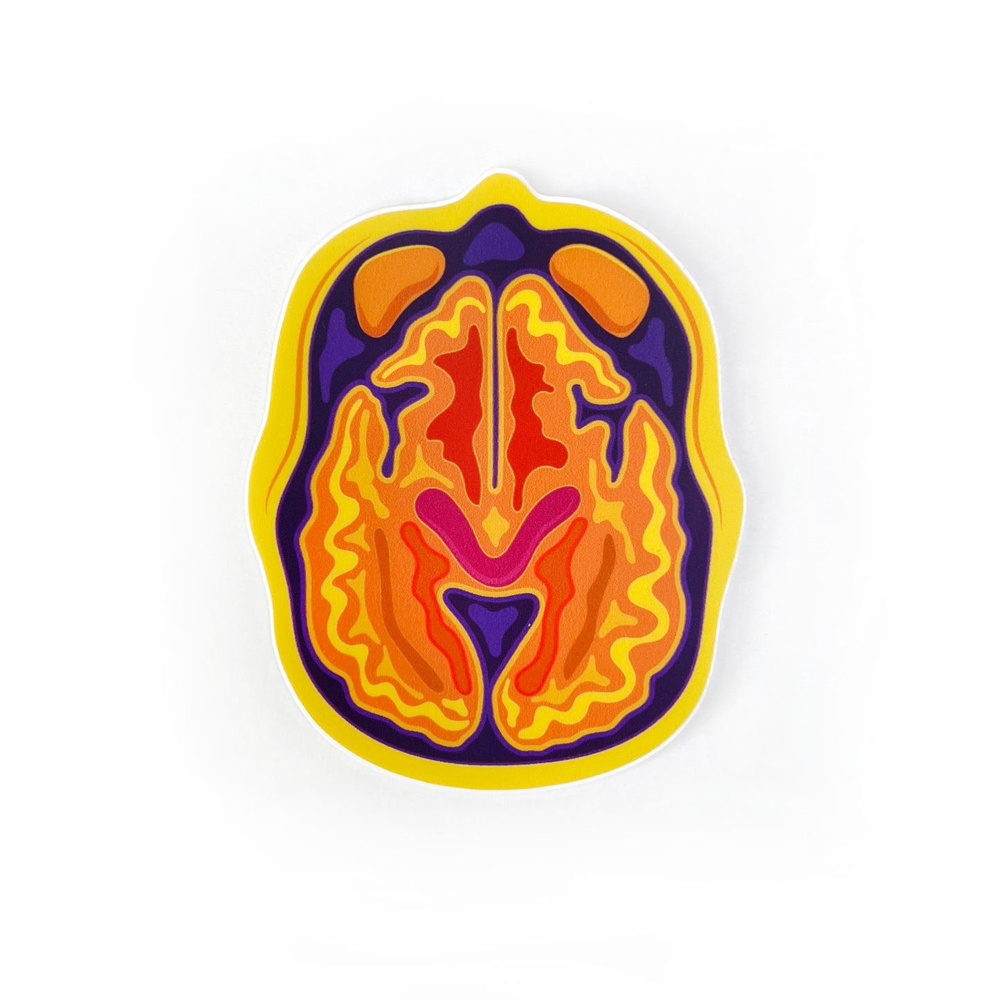 "Axial Slices" Brain MRI/CT Sticker