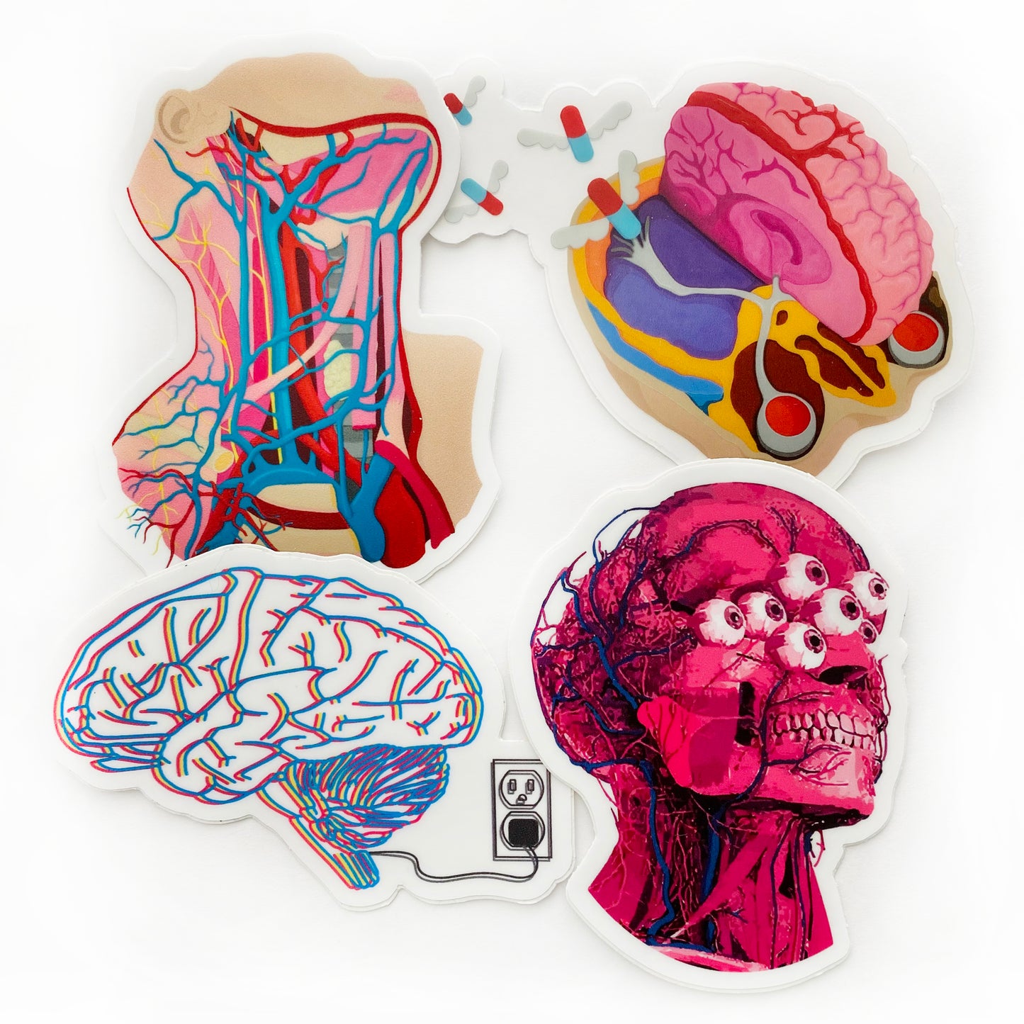 Anatomical Sticker 4-Pack