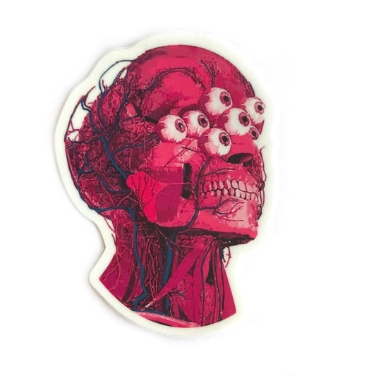 "De-Fleshed" Anatomical Head Sticker