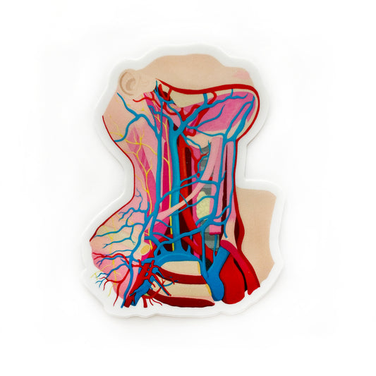 "Inflammation" Neck Anatomy Sticker